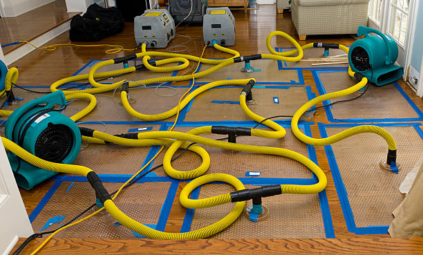 Professional Flood Damage Restoration technician working in Shelburne Falls, MA